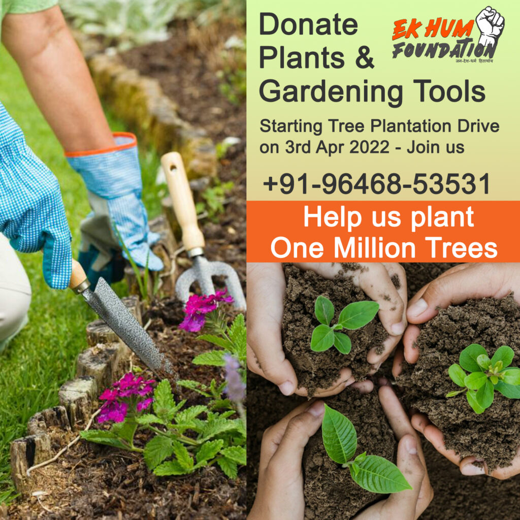 Donate Plants and Gardening Tools in Ludhiana