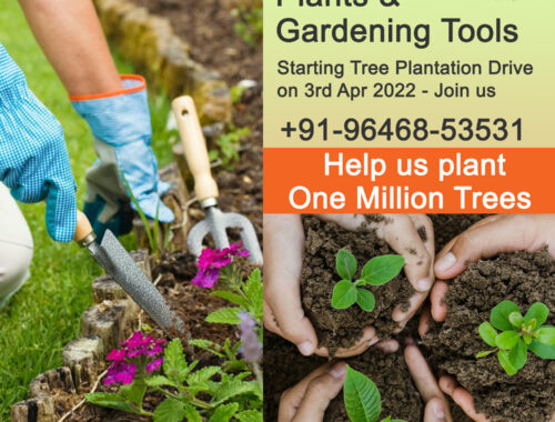Donate Plants and Gardening Tools in Ludhiana